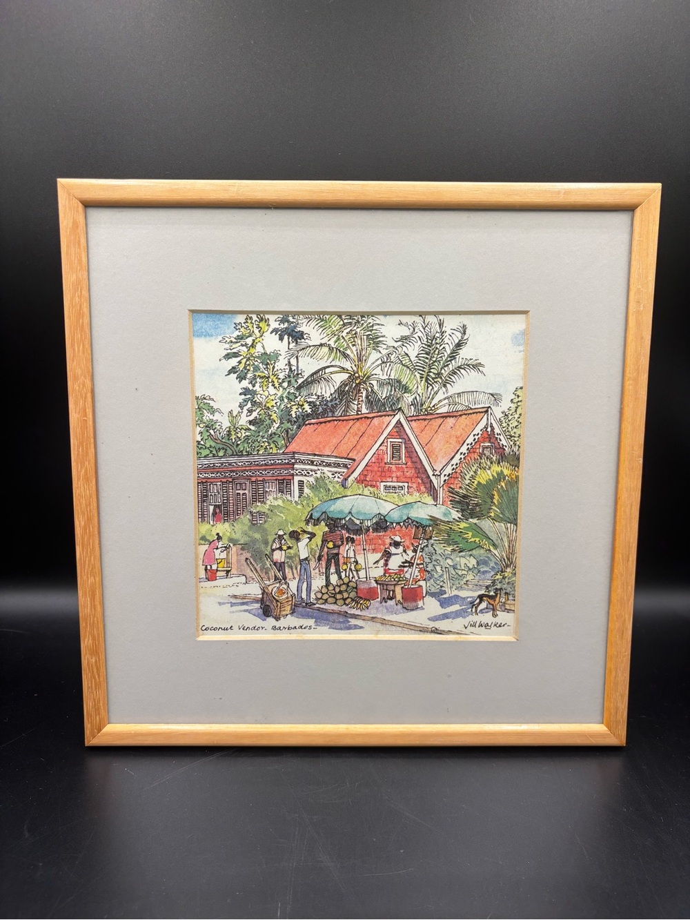 Watercolor Print Jill Walker Coconut Vendor Barbados Framed Caribbean Islands